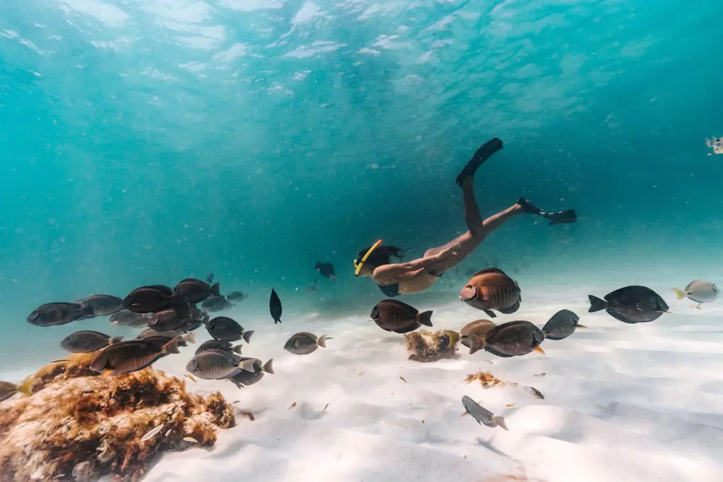 2.-Sailing-and-Snorkeling-scaled